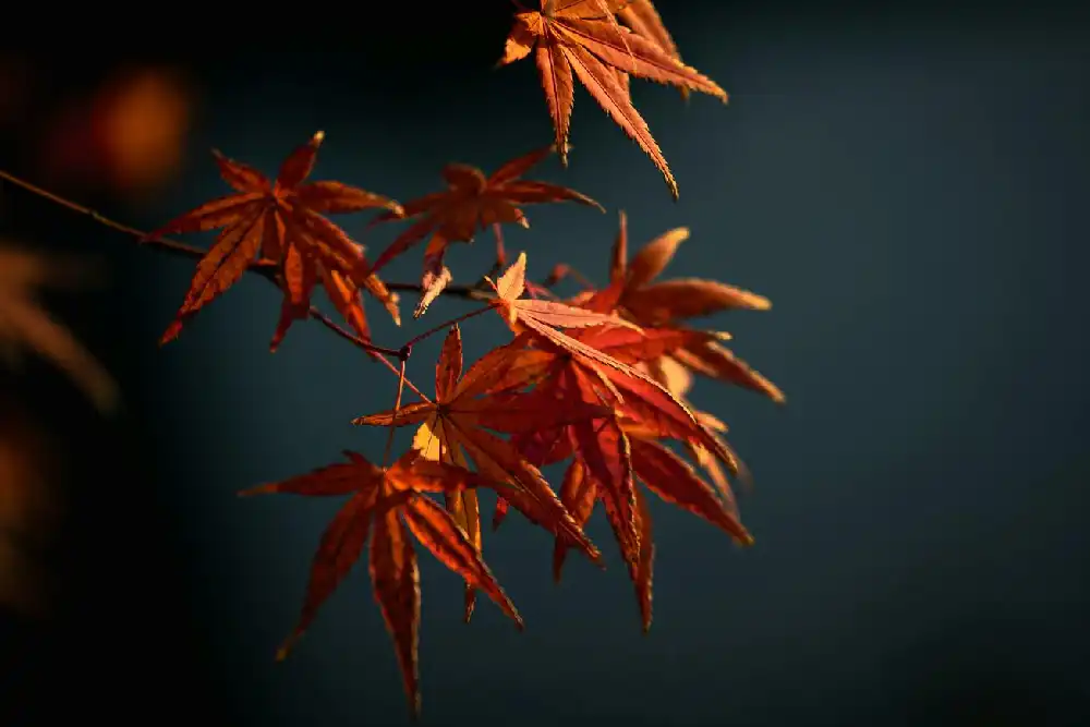 Lessons Learned From Failing at Something I Once Loved