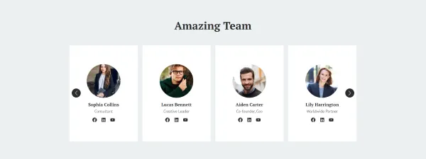 Amazing Team