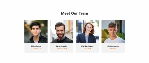 Meet Our Team