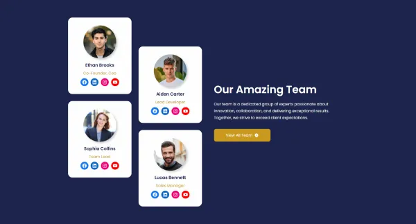 Our Amazing Team