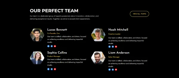 Our Perfect Team