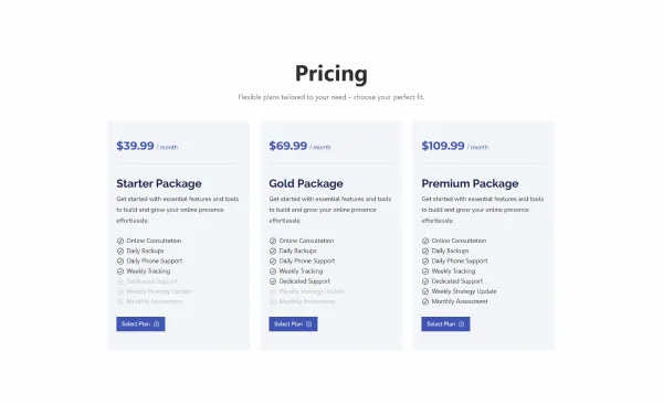 Package and Pricing