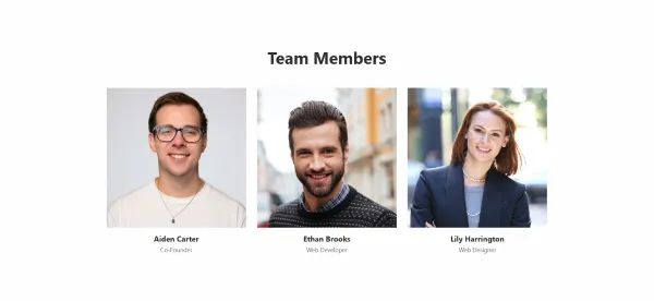 Team Members